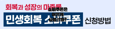 소비쿠폰은 어떻게 사용할까?