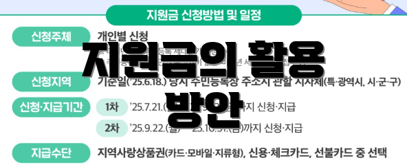 지원금의 활용 방안