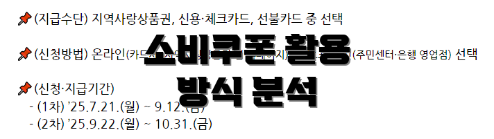 소비쿠폰 활용 방식 분석