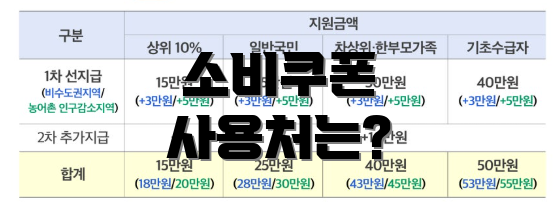 소비쿠폰 사용처는?