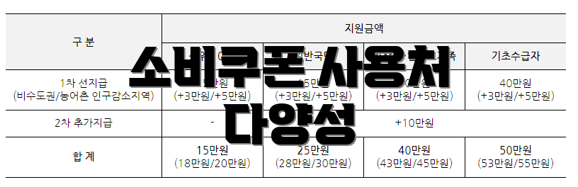 소비쿠폰 사용처 다양성