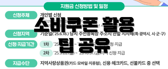 소비쿠폰 활용 팁 공유