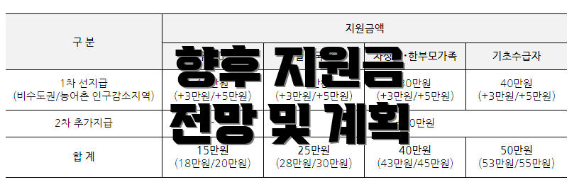 향후 지원금 전망 및 계획