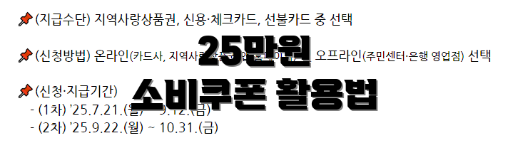 25만원 소비쿠폰 활용법