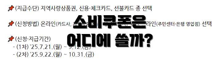 소비쿠폰은 어디에 쓸까?