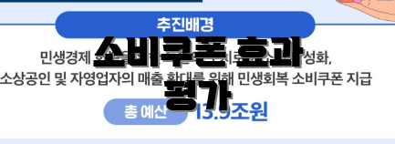 소비쿠폰 효과 평가