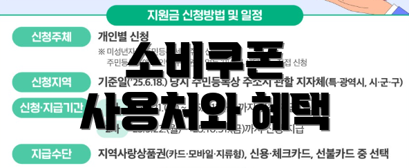 소비쿠폰 사용처와 혜택