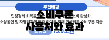 소비쿠폰 사용처와 효과