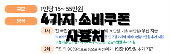 4가지 소비쿠폰 사용처