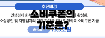 소비쿠폰의 기준은?
