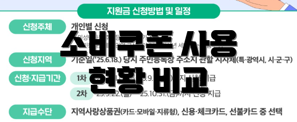 소비쿠폰 사용 현황 비교